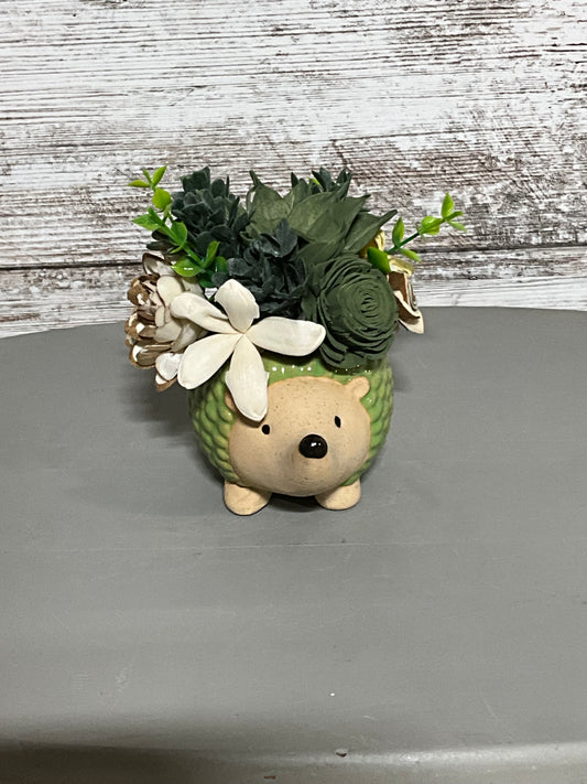 Charming Hedgehog Ceramic Planter Mixed Succulent & Wooden Flower Arrangement